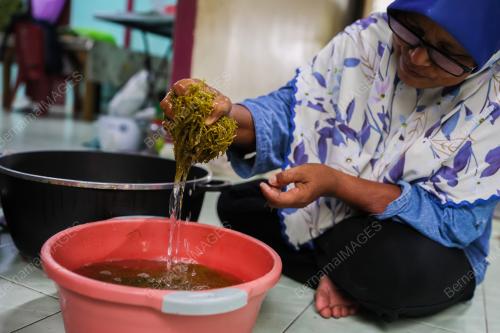 GULAI KERING DAUN ASAM GELUGUR