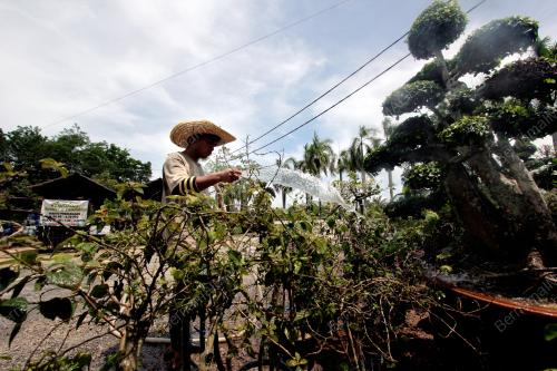 TINJAUAN CUACA PANAS