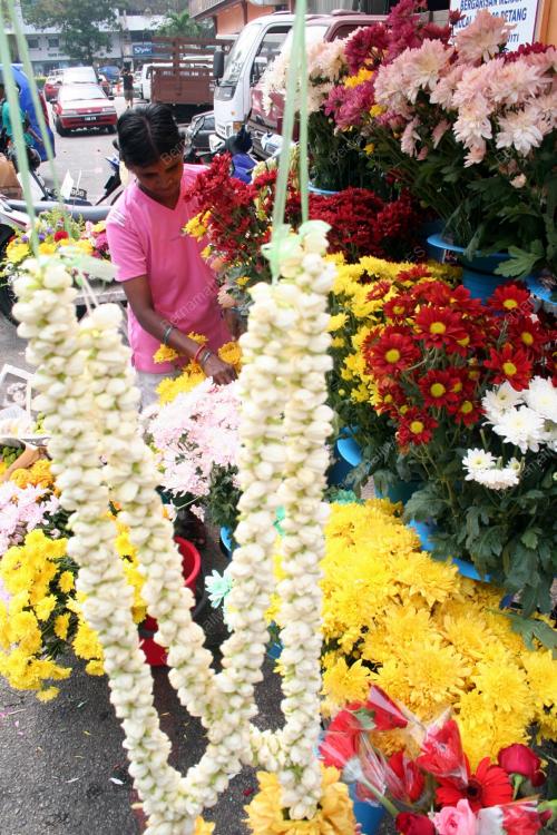 BUNGA_DEEPAVALI