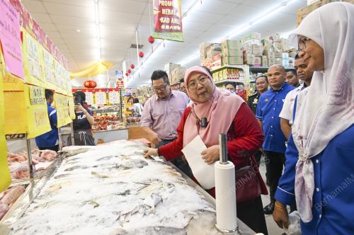 SENATOR FUZIAH SALLEH