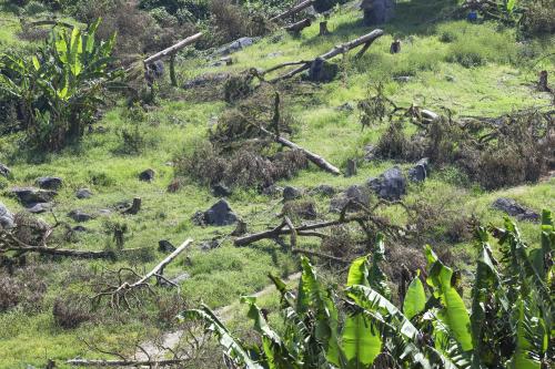 SULTAN PAHANG TINJAU LOKASI PENCEROBOHAN TANAH DI RAUB