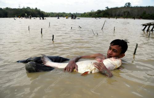 PESTA MENJALA IKAN