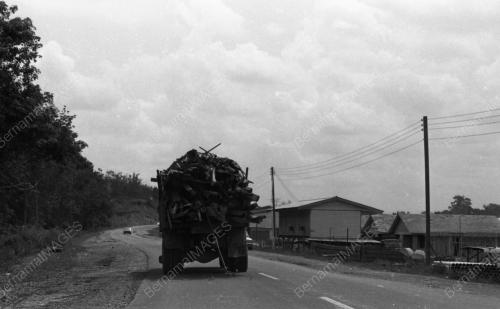 PH02_09032015_MUATAN_KAYU