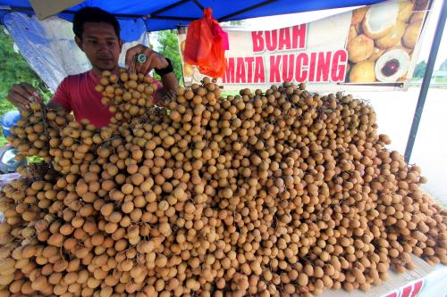 PH02_09072018_LONGAN