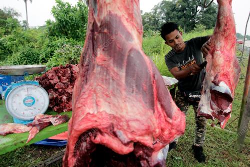 PH02_10082019_DAGING