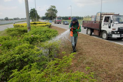 SIRAM POKOK HIASAN
