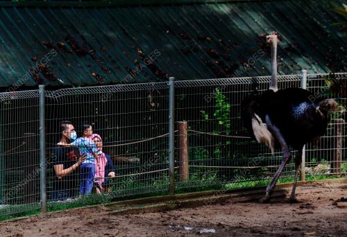 MINI ZOO TAMAN TERUNTUM