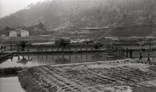 PH02_12012015_HARI_POLIS