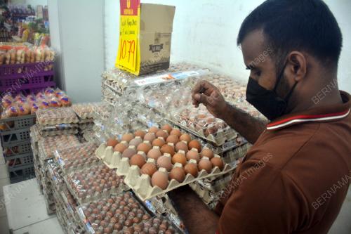 TELUR AYAM