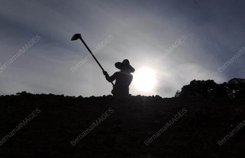PH02_12032015_CUACA_PANAS
