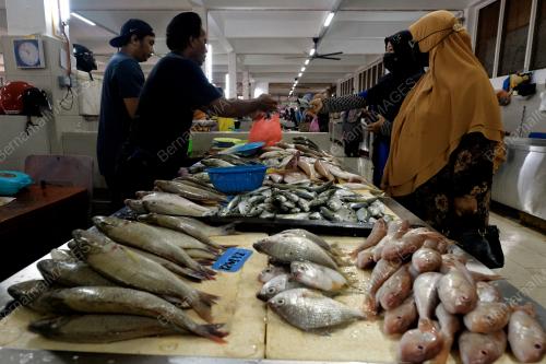TINJAUAN BEKALAN IKAN SEGAR MUSIM TENGKUJUH