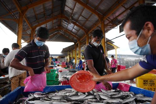 PEMILIK BOT NELAYAN EDAR IKAN PERCUMA