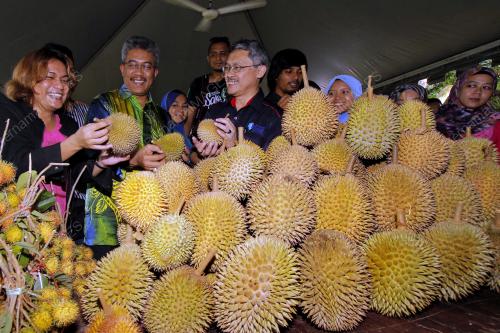 PH02_13092013_DURIAN