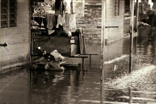 BANJIR DI KUANTAN