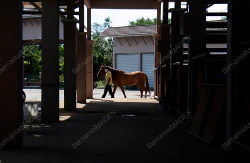 EQUASTRIAN DIBENARKAN BEROPERASI