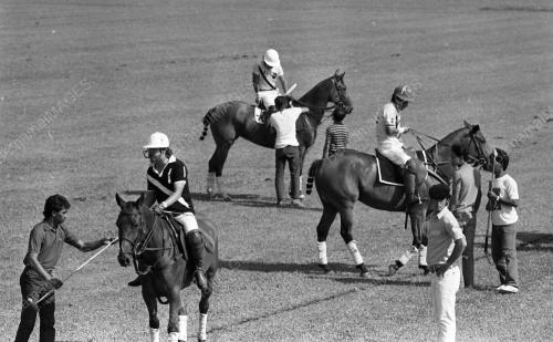 PH02_14072015_POLO