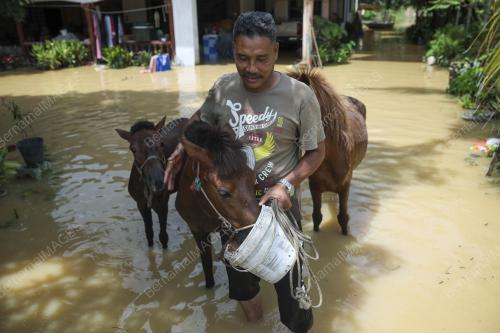 BANJIR PAHANG