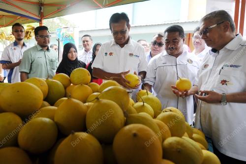 PH02_15022016_SHABERY