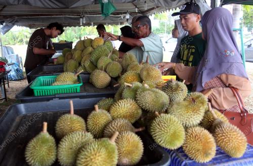 PH02_16062019_DURIAN