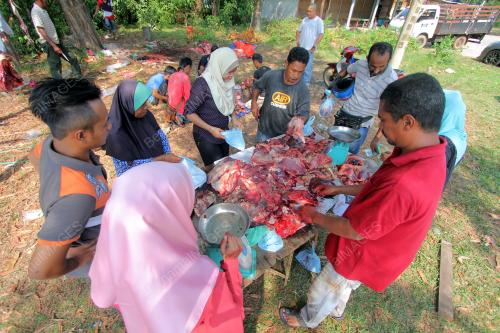 PH02_16072015_DAGING