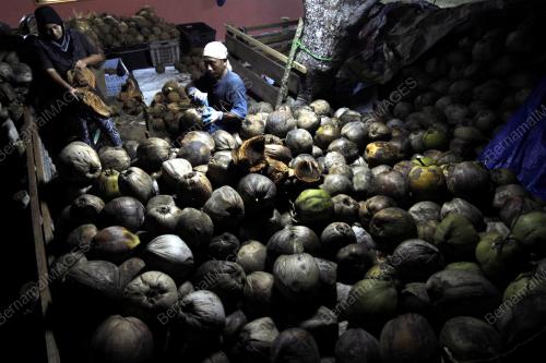 PH02_17072013_KELAPA