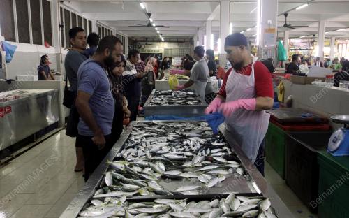 BEKALAN IKAN LAUT
