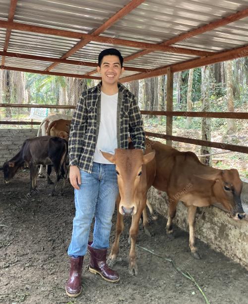SIR LADANG
