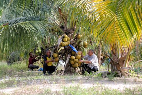 PH02_18112013_KELAPA