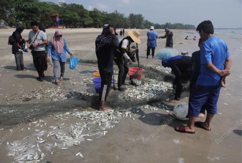 NELAYAN PANTAI