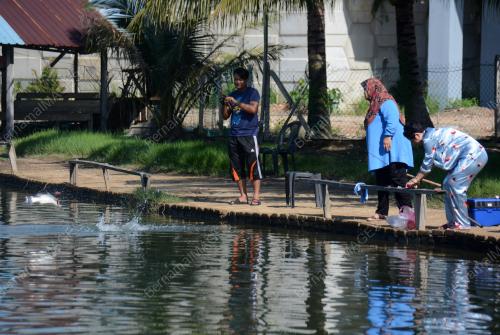 PEMINAT HOBI MEMANCING