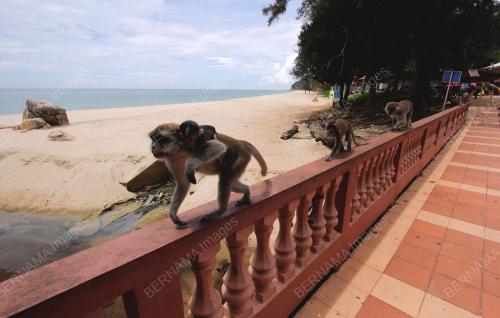 SUASANA PANTAI PERANGINAN TELUK CEMPEDAK
