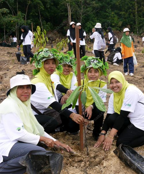 KEMPEN TANAM POKOK