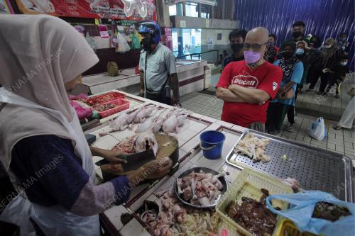 TINJAUAN BEKALAN AYAM