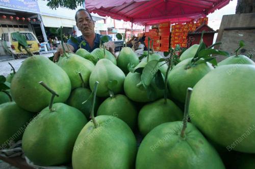 PH02_23012011_LIMAU_BALI
