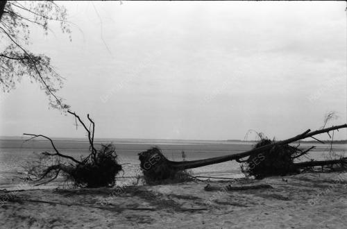 HAKISAN PANTAI