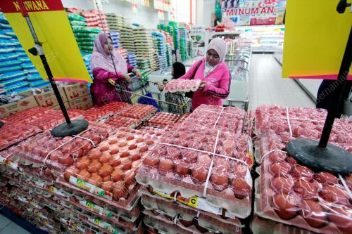 TINJAUAN TELUR AYAM DI PASARAN