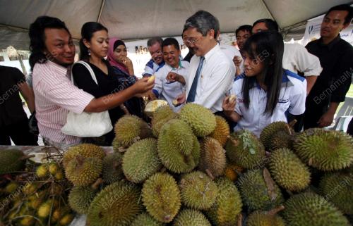 MOH MAKAN DURIAN UMP