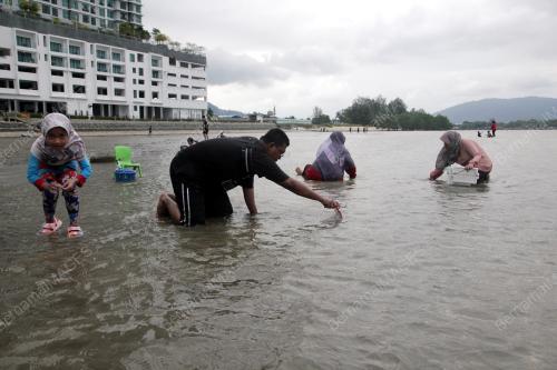 MENCARI KEPAH