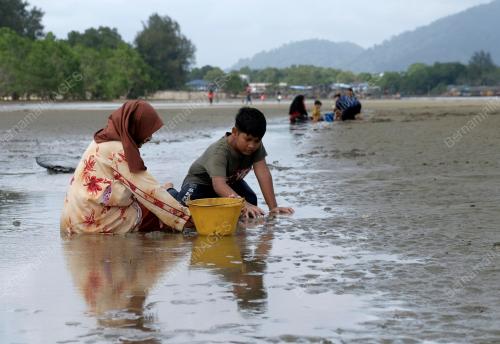 AKTIVITI CARI KEPAH