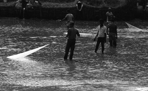 PH02_24062019_PROJEK_IKAN
