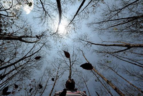 PH02_25022014_KEMARAU