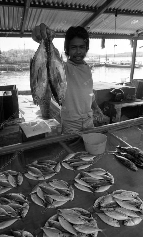 PH02_25062015_PASAR_TANI