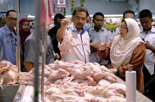 SENATOR FUZIAH SALLEH
