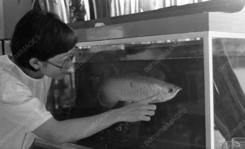PH02_26012015_IKAN