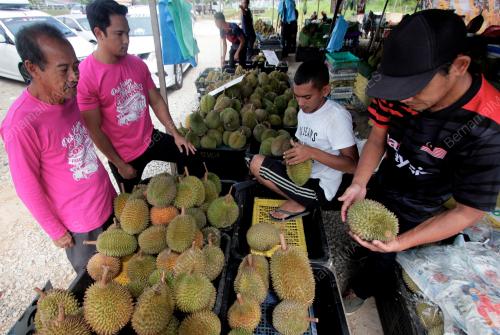 DURIAN