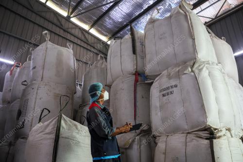 BERAS PUTIH TEMPATAN