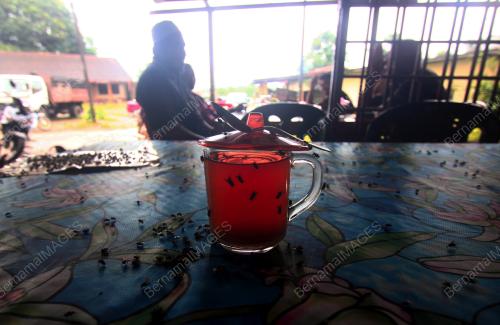PH02_26122017_LALAT