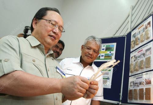 BERNARD DOMPOK