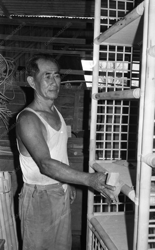 PH02_28012015_ROTAN