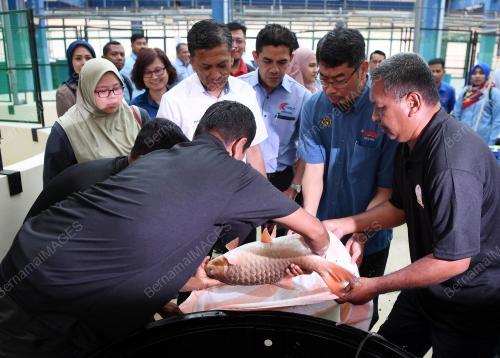 DATUK MUNIR MOHD NAWI